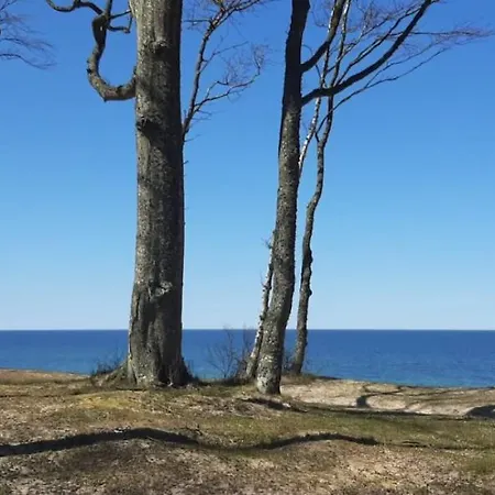 別荘 Aneczka Debina *