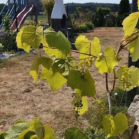 Aneczka Debina 別荘 Debina (Ustka)