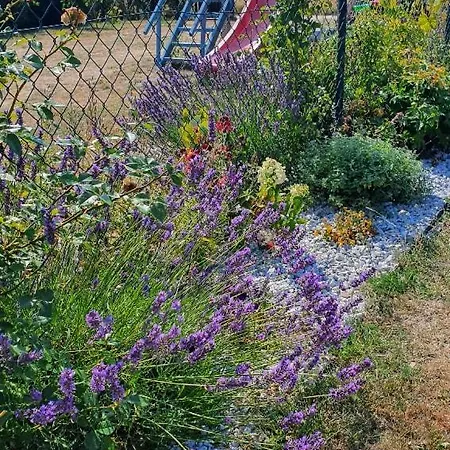 Aneczka Debina * Debina (Ustka)