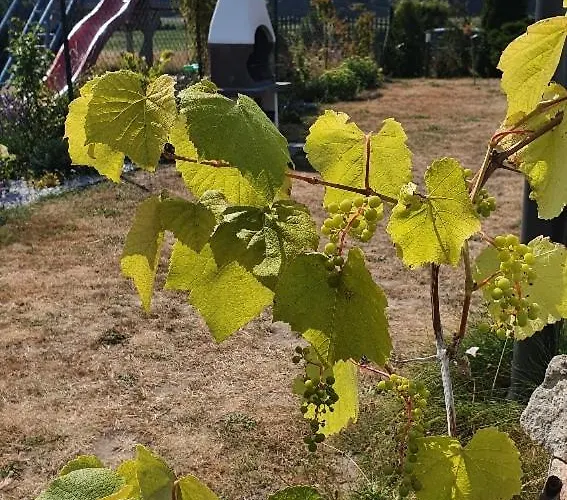 Aneczka Debina بيت للعطل Debina (Ustka)