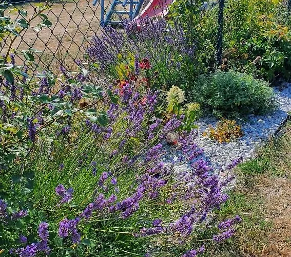 Aneczka Debina * Debina (Ustka)